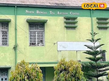 Jalpaiguri News: ১০ বছর পর চা পাতা নিলাম জলপাইগুড়িতে! প্রথমদিনেই ছক্কা, কত দর উঠল জানলে অবাক হবেন