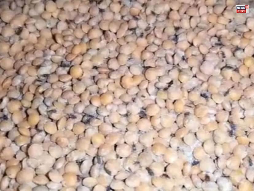 বাড়ির চাল-ডালে পোকা ধরার সমস্যা নতুন নয়। মাঝেমধ্যেই রান্নাঘরে এমন সমস্যার সম্মুখীন হতে হয় অনেককেই। প্রতি ঋতু পড়তেই সেগুলি বার বার একটু রোদে না দিলে পোকা ধরার আশঙ্কা থাকে।