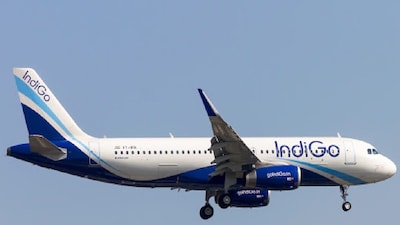 বিপাকে ইন্ডিগো৷ 
