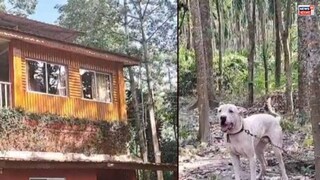 মালঙ্গি ও টবু