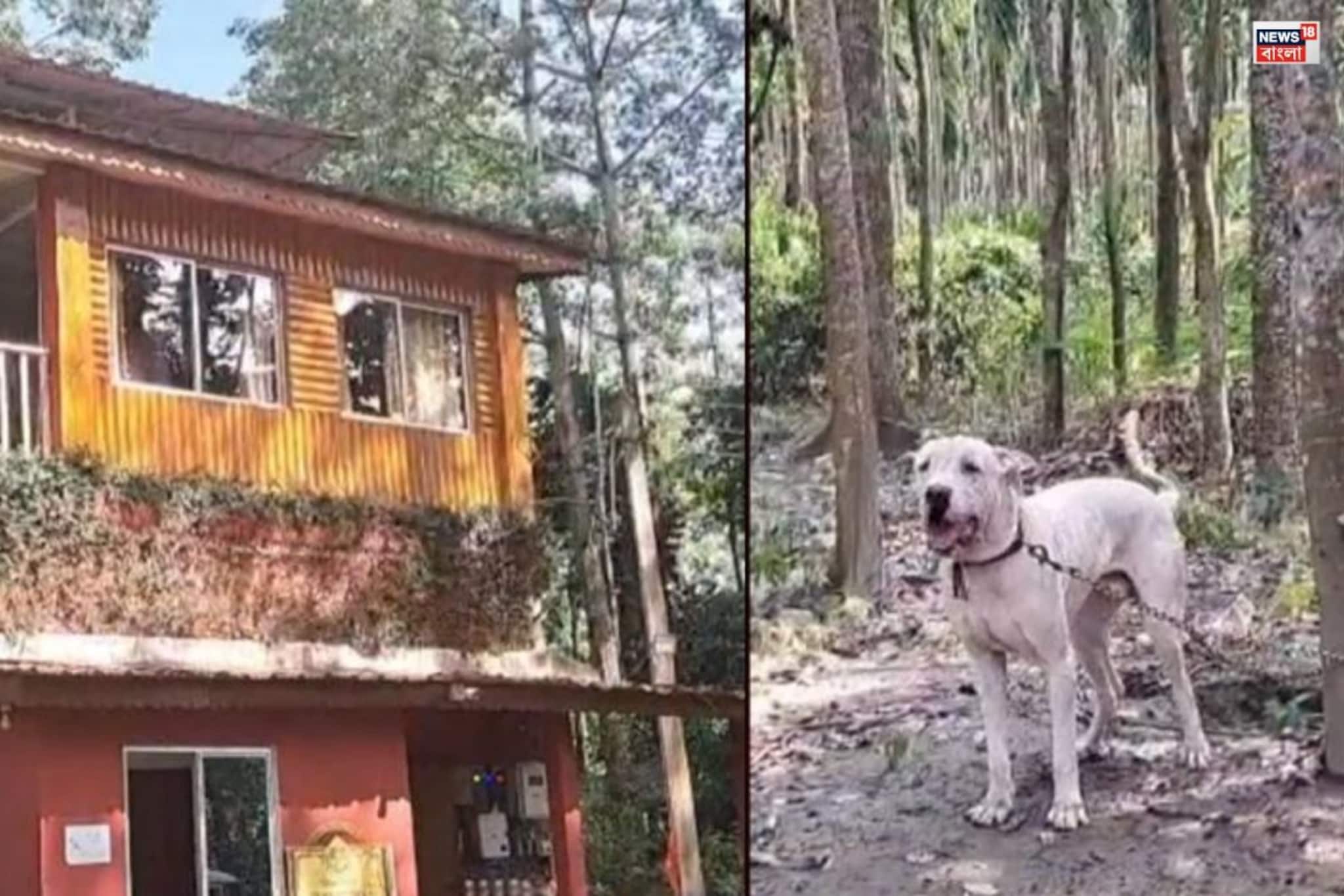 সে কী! বাংলার বাংলো নিরাপত্তায় দুই পাকিস্তানি! কিন্তু সকলের প্রিয়, কারা তারা জানেন?