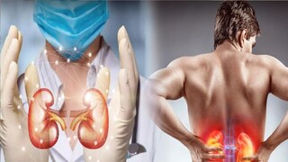 কিডনি স্বাভাবিকভাবে কাজ করতে না পারলে আর রক্ত ফিল্টার করতে পারে না। ফলে শরীরে ক্রমশ টক্সিন জমা হতে থাকে। এর ফলে বাড়তে থাকে ব্লাড প্রেশার, হার্টের অসুখ আর স্ট্রোকের ঝুঁকি। কিডনির অসুখের প্রাথমিক পর্যায়ে তেমন কোনও উপসর্গ ধরা পড়ে না। ফলে মানুষ বুঝতেও পারে না কিডনি বিকল হচ্ছে। যত ক্ষণে বুঝতে পারে, তত ক্ষণে পরিস্থিতি হাতের বাইরে চলে যায়। কাজেই প্রথম থেকেই সতর্ক হন।Image: News18