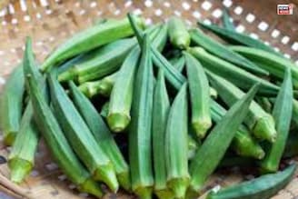 মুচমুচে ভাজা শুধু নয়, এভাবে একদিন ঢেঁড়শের তরকারি বানিয়ে দেখতে পারেন! সবাই আঙুল চাটবে