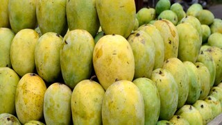 ল্যাংড়া আম 