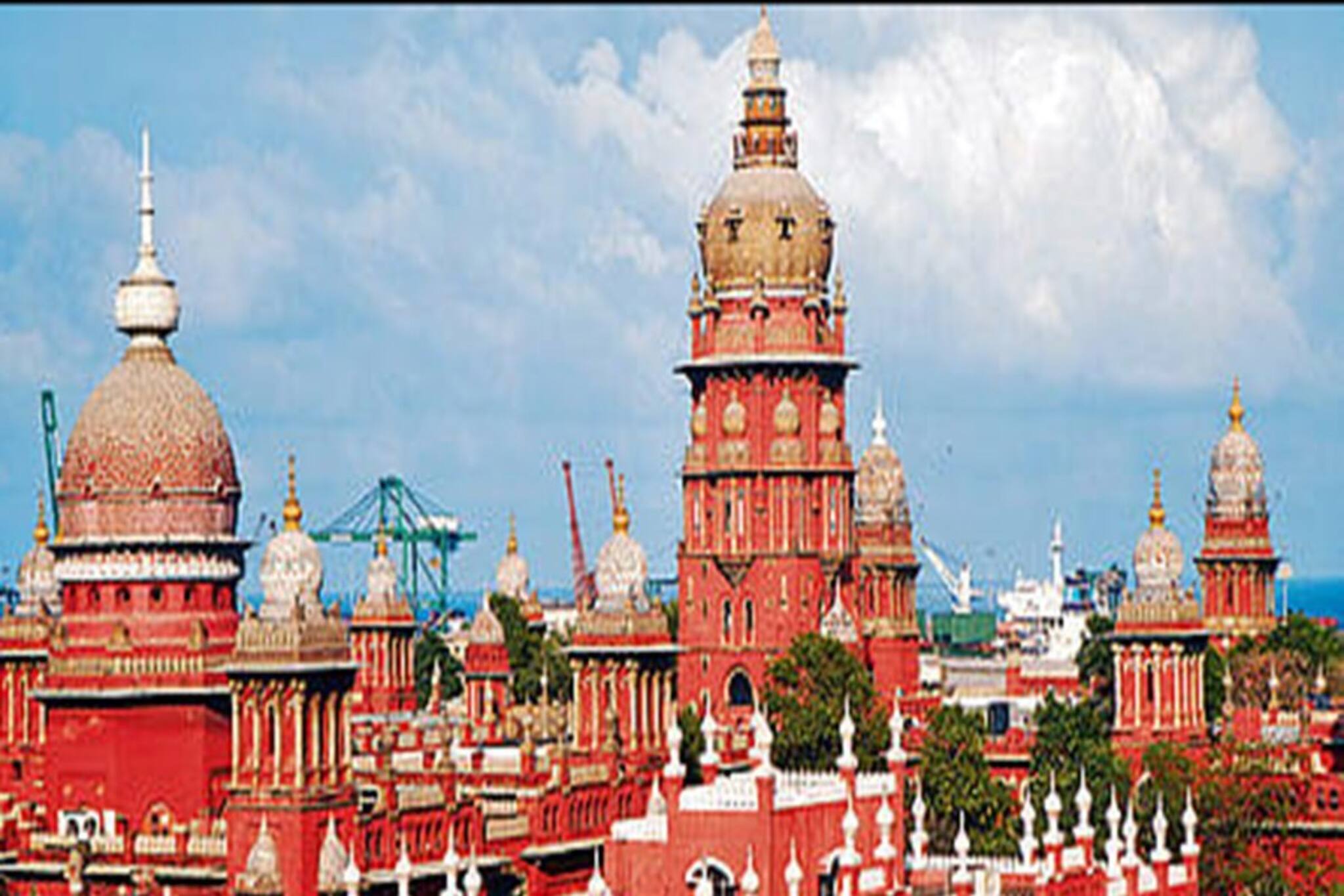 সমলিঙ্গের দু জন মানুষ কি পরিবার গঠন করতে পারেন? তরুণীর মত জেনে বড় নির্দেশ মাদ্রাজ হাইকোর্