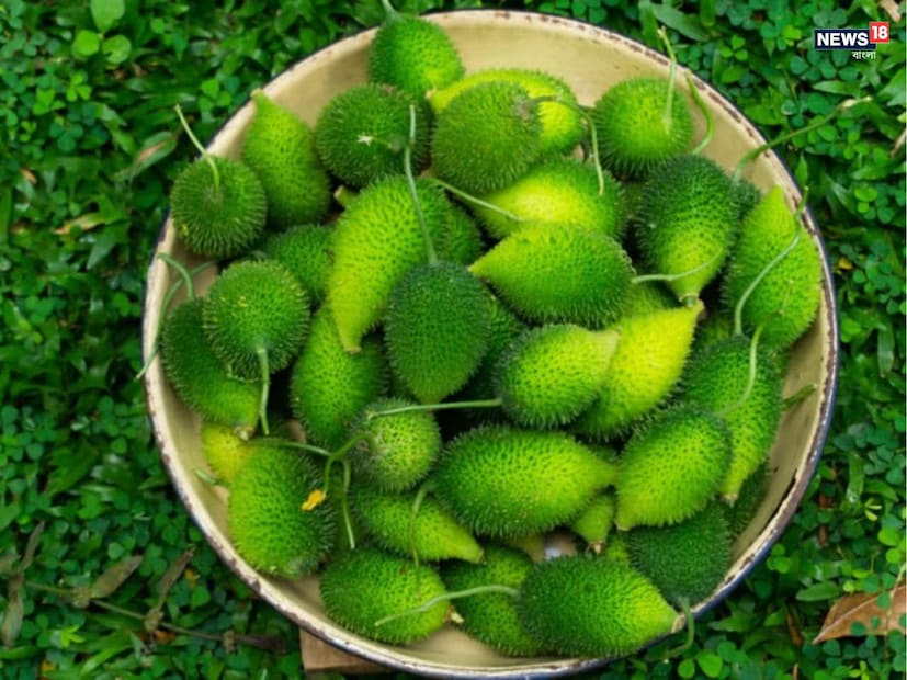 কাঁকরোল একটি স্বাস্থ্যকর সবজি যা বর্ষাকালে স্বাভাবিকভাবে পাওয়া যায়। সবুজ এবং গাঢ় সবুজ রঙের এই সবজির বাইরের অংশে নরম কাঁটা থাকে। হিন্দিতে 