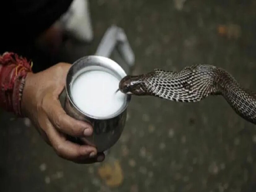 শ্রাবণমাসের শুক্লাপক্ষের পঞ্চমী তিথিতে পালিত হয় নাগপঞ্চমী৷ এ বছর এই পুণ্যতিথি পড়েছে শুক্রবার৷ ৬ বছর পর এই শুভ দিনে একইসঙ্গে পড়েছে সিদ্ধিযোগ, অমৃতসিদ্ধি যোগ এবং রবিযোগ৷ নাগ পঞ্চমীর উৎসবটি শিবের প্রিয় মাস শ্রাবণে উদযাপিত হয়, যা এই বছরের ২৯ জুলাই। (Disclaimer: এই প্রতিবেদনটি কেবলমাত্র সাধারণ তথ্যের জন্য, তাই বিস্তারিত জানতে হলে সর্বদা বিশেষজ্ঞের পরামর্শ নিন।)