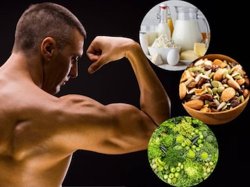 Strong Bones Food: ৫ ঘরোয়া খাবারের কামাল! লোহার রডের মতো শক্ত হবে হাড়! ইস্পাতের মতো শক্তি পাবে শরীর!