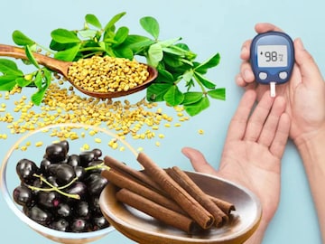 High Blood Sugar Control: ৬ সস্তা খাবারে জব্দ ব্লাড সুগার! কিডনির রোগ নিয়েও চিন্তা করতে হবে না!