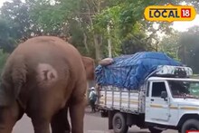 স্কুল খুলেছে খবর পৌঁছতেই রামলাল হাজির! দেখুন ভিডিও