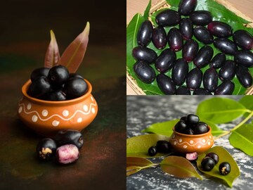যতই লোভ লাগুক, ভুলেও কালোজাম দাঁতে কাটবেন না এঁরা! মুখে দিলেই বারোটা বাজবে শরীরের