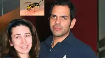 লন্ডনের একটি মাঠে পোলো খেলতে গিয়ে হঠাৎ একটি মৌমাছি তাঁর মুখে ঢুকে পড়ে লন্ডনের একটি মাঠে পোলো খেলতে গিয়ে হঠাৎ একটি মৌমাছি তাঁর মুখে ঢুকে পড়ে