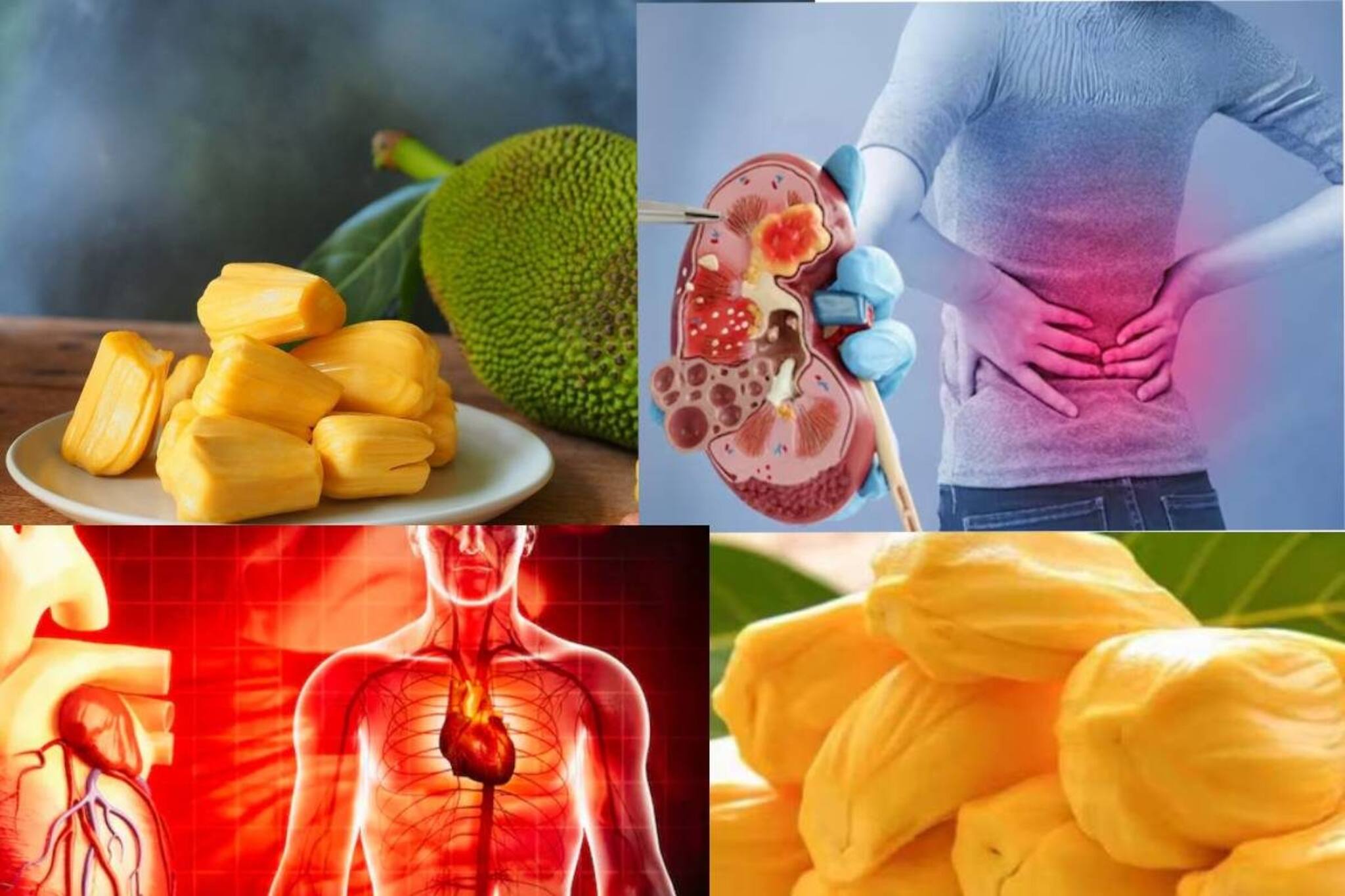 কাঁঠাল থেকে কিডনির রোগ! হৃদরোগ! পক্ষাঘাত! কারা এই ফল খেলে ঝাঁঝরা শরীর? জানুন