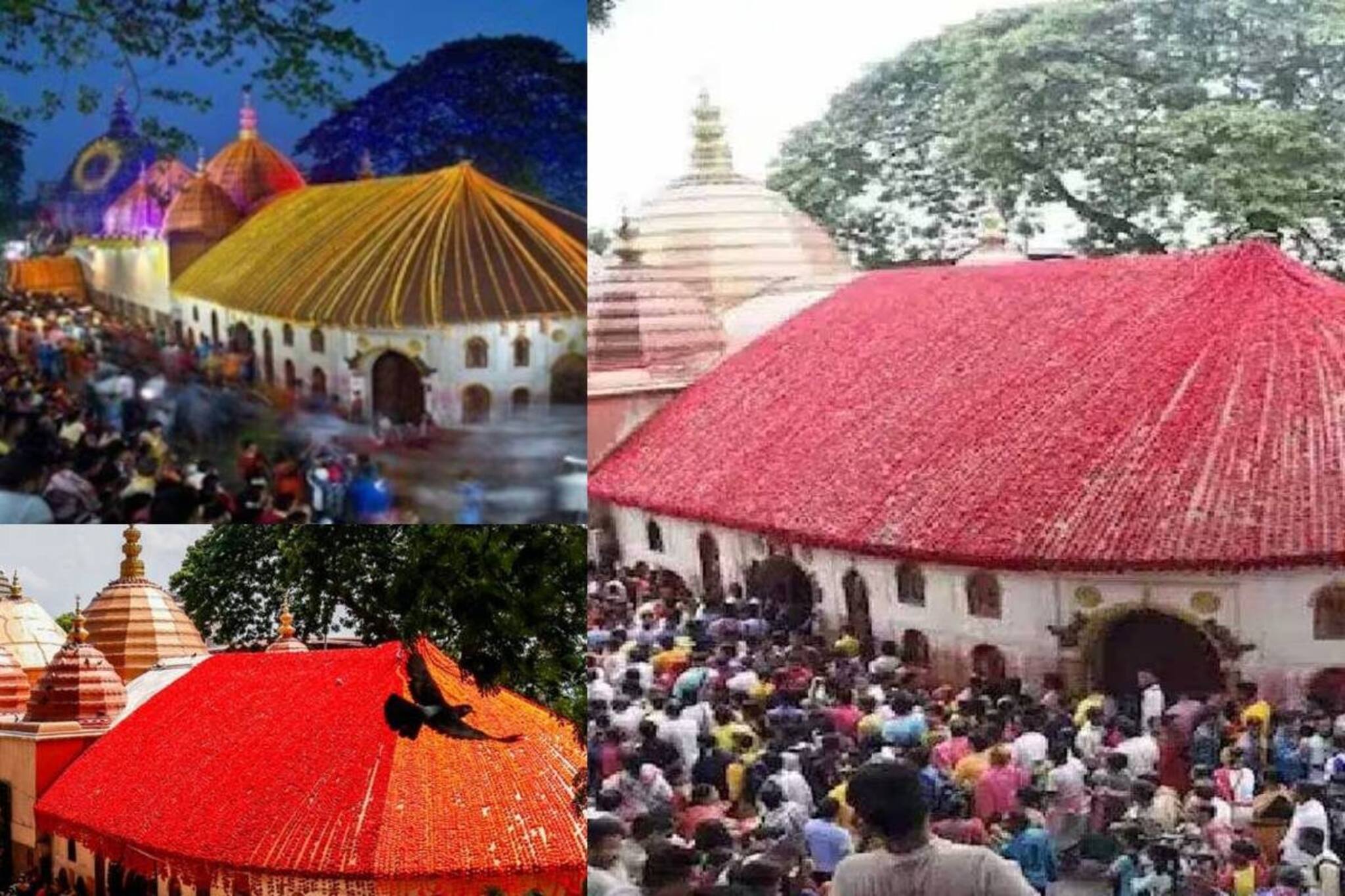 রাত পোহালেই শুরু অম্বুবাচী! ভুলেও দাঁতে কাটবেন না এই ৫ খাবার! সংসারে আসবে অভাব, দুর্ভাগ্য