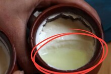 দইয়ের উপর ভাসতে থাকা হলুদ জল চরম ক্ষতিকর? খেলেই তিলে তিলে ফোঁপড়া শরীর? নাকি ঠিক উল্টোটা?