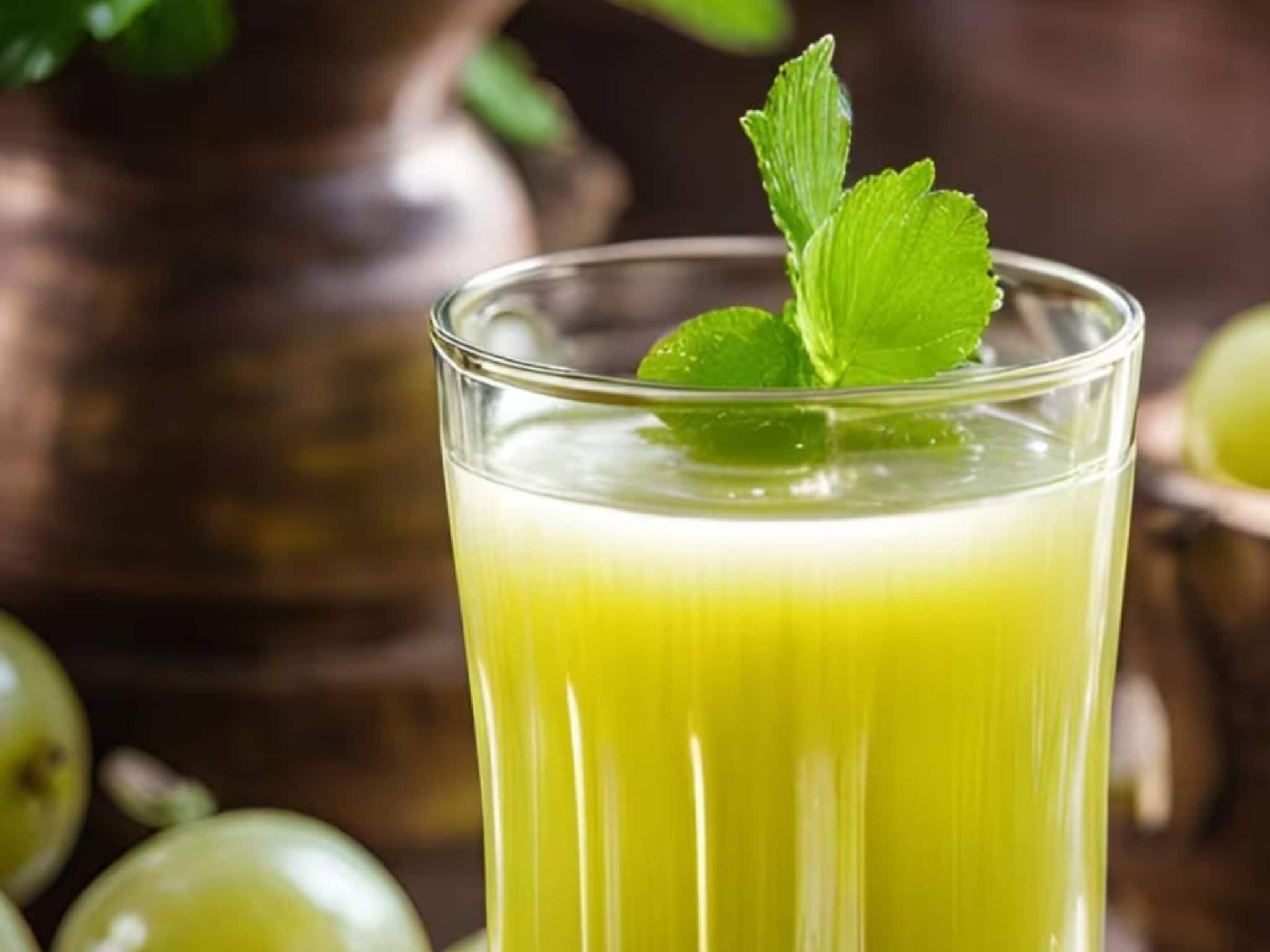 Winter Tips: শীতে ইমিউনিটি বজায় রাখতে বিশেষজ্ঞদের ভরসা ‘আমলকি-শট’! কীভাবে বানাবেন?