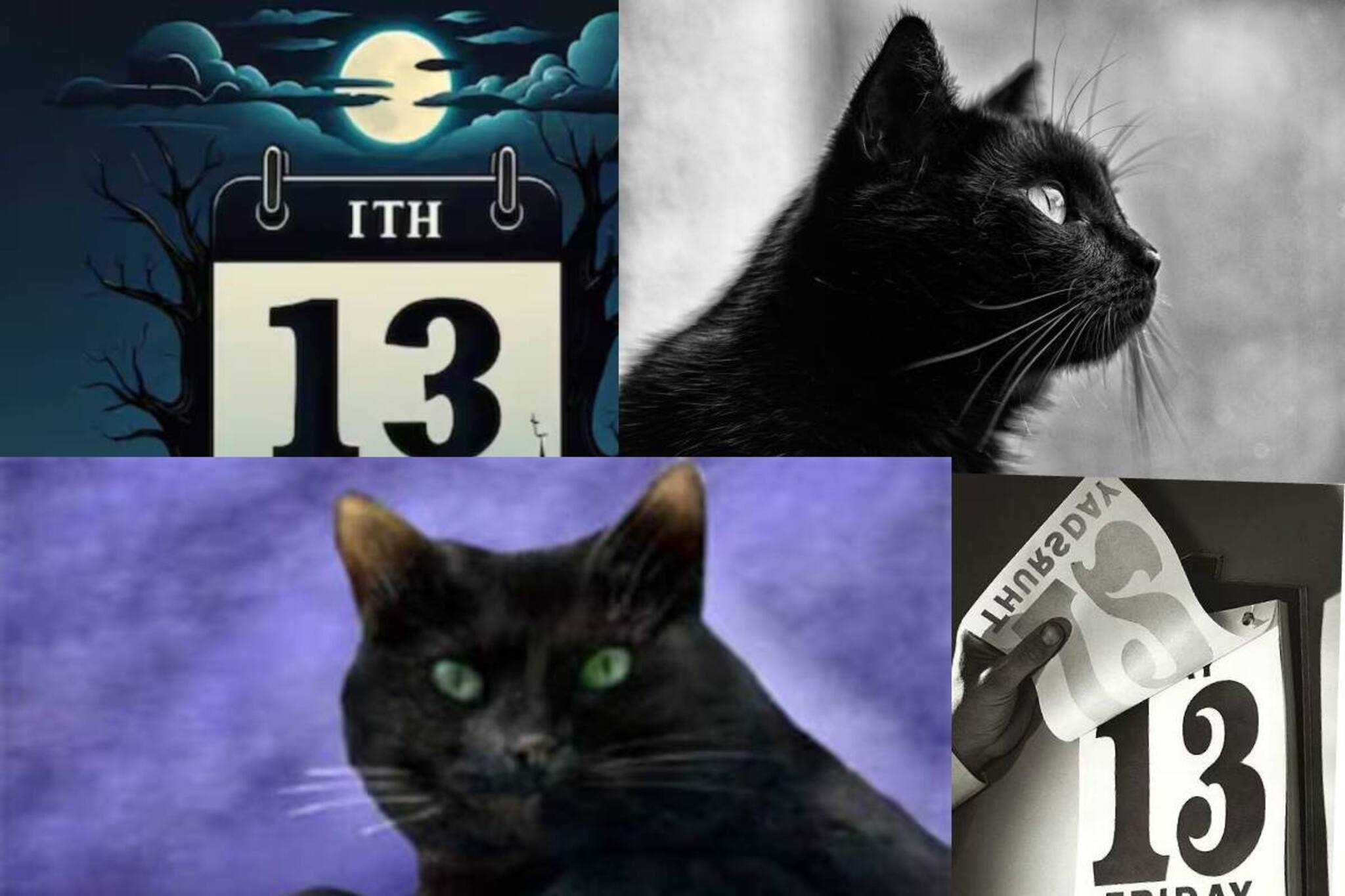 আজই সেই বিশেষ দিন ! কেন এত 'অপয়া’ ও ‘অশুভ‘ বলা হয় ১৩ তারিখের শুক্রবারকে? জানুন কারণ