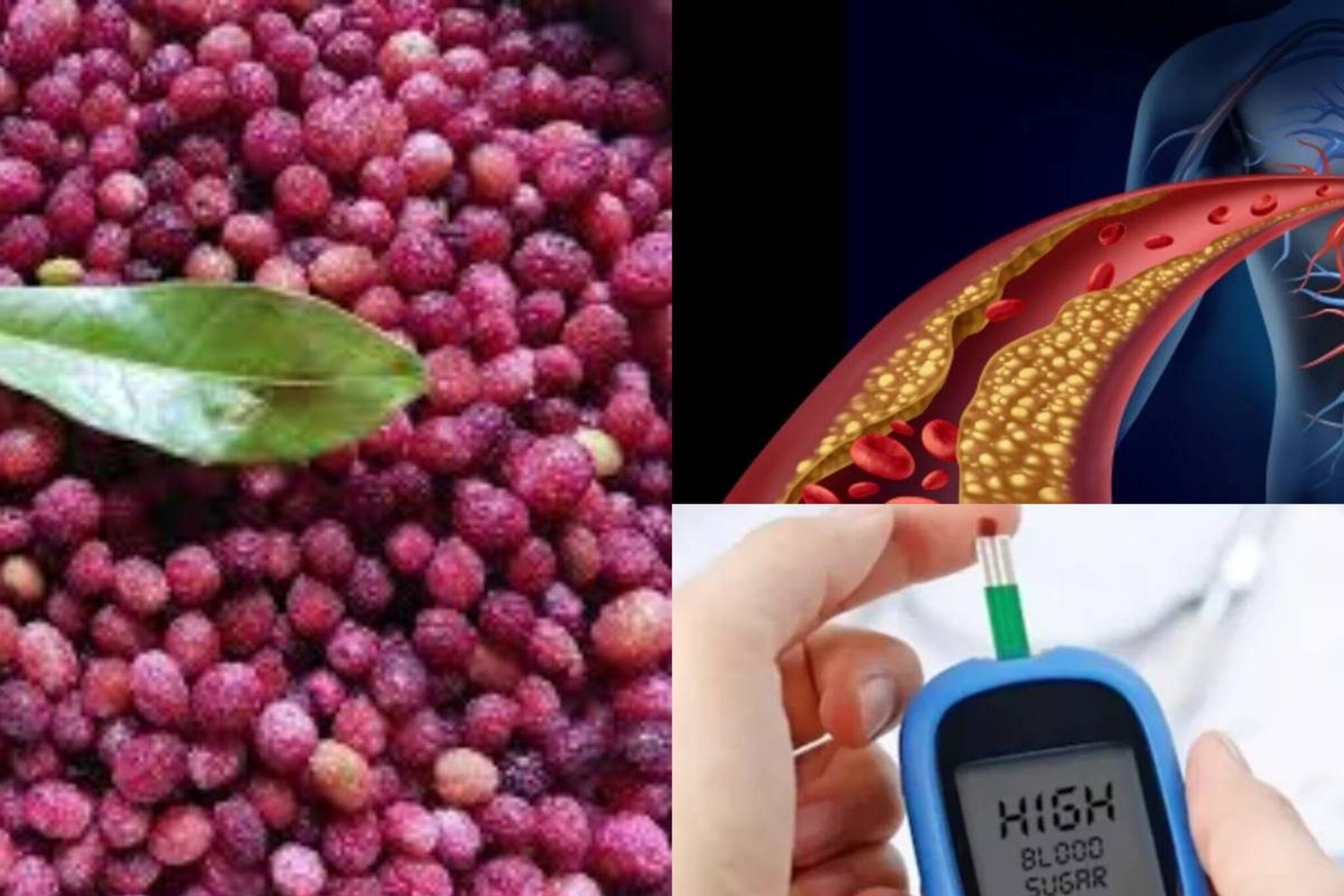 পাওয়া যায় মাত্র ২ মাস! ব্লাড সুগারে আশীর্বাদ এই বুনো ফল! হৃদরোগ ঠেকাতেও অব্যর্থ!