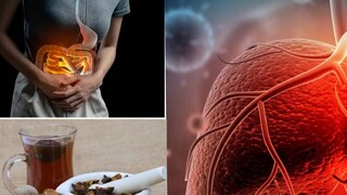 লিভার এবং অন্ত্রে চর্বি জমা এবং কোষ্ঠকাঠিন্যের সবচেয়ে বড় কারণ হল শরীরে ফাইবারের অভাব