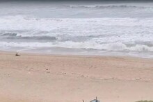 বন্ধুকে বেঁধে রাখা হল দড়ি দিয়ে,ওড়িশায় গোপালপুর সৈকত থেকে তরুণীকে তুলে নিয়ে গিয়ে গণধর্ষণ