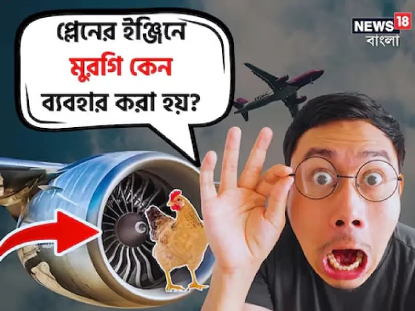 *বিশ্বজুড়ে বিমান সংস্থা এবং সরকার নিশ্চিত করে, বিমান ওড়ার আগে পাখির আঘাতের (পাখিটিকে আঘাত করা) ক্ষেত্রে বিমানের শক্তি পুঙ্খানুপুঙ্খভাবে পরীক্ষা করা হয়। সেই কারণে প্লেন ওড়ার আগে ইঞ্জিনে মুরগি ঢুকিয়ে দেওয়া হয়। সংগৃহীত ছবি। 