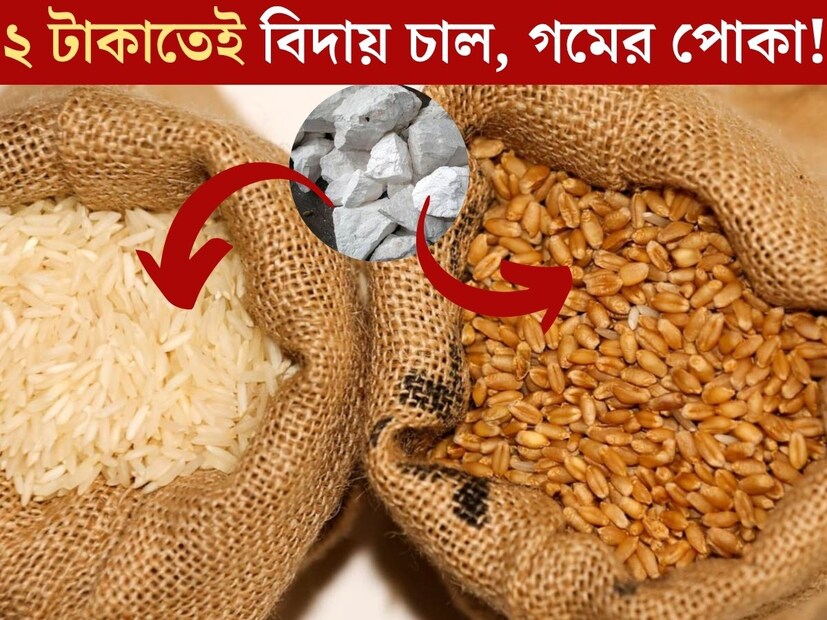 বর্ষার মরশুম এলেই সবচেয়ে বেশি চিন্তার কারণ হয়ে দাঁড়ায় জিনিসপত্র ভাল রাখা। রোদের দেখা ঠিকমতো না মেলায় চাল, গমে পোকা লেগে যাওয়ার সম্ভাবনা থাকে প্রবল। 
