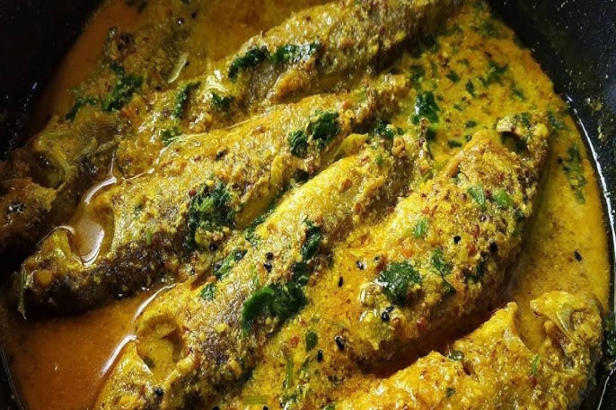 পুষ্টির 'প্যারাডাইস' এই মাছ...! ওমেগা 3 ভর্তি,  চাঙ্গা রাখে হার্ট, দূরে রাখে ক্যানসার!