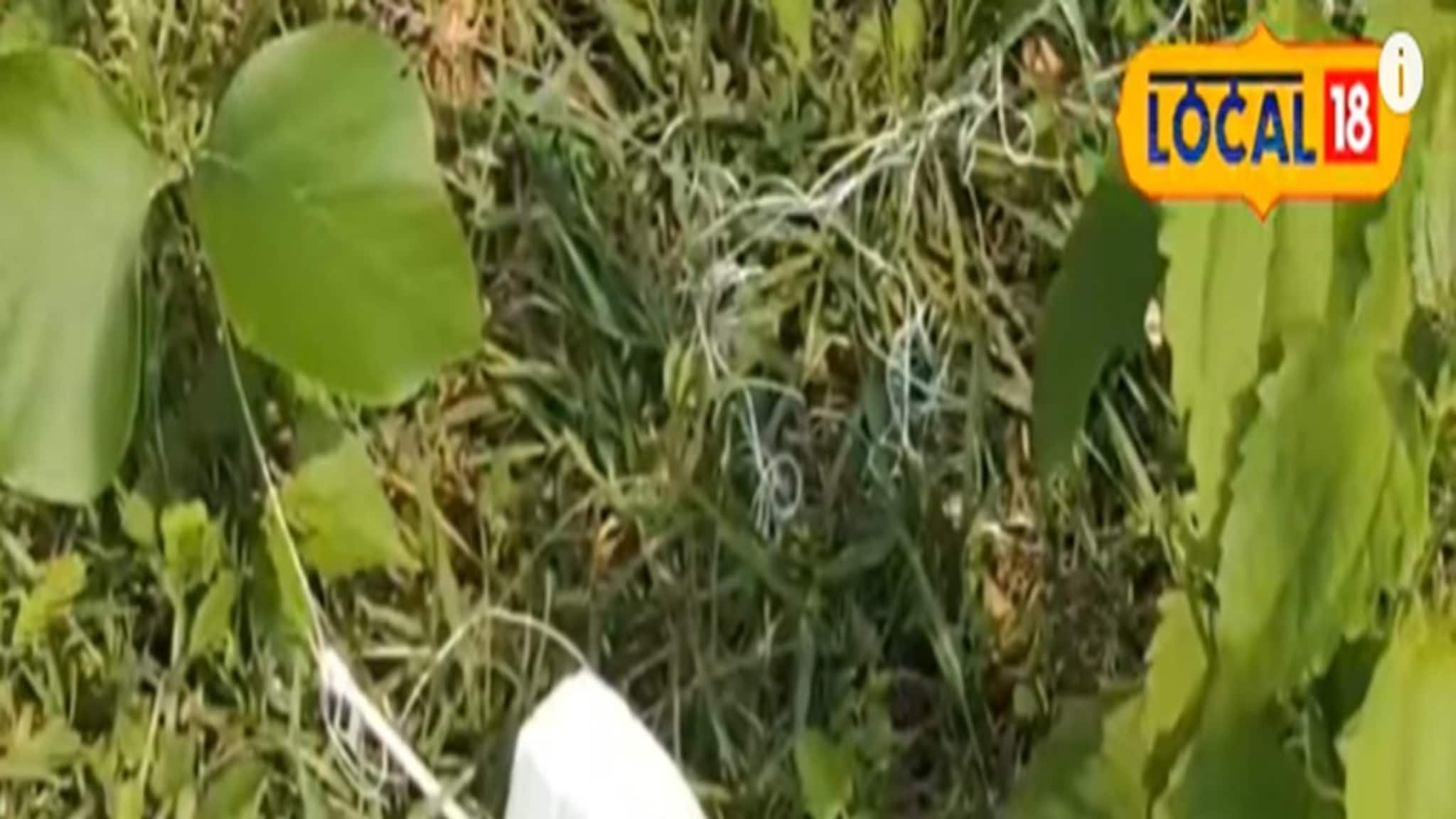 Viral News: আকাশ থেকে ফাঁকা জমিতে পড়ল একি ডিভাইস শোরগোল এলাকায়!