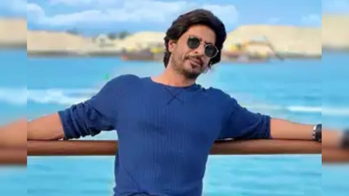 Ibrahim Qadri: ‘আমি কোনও সস্তার কপি নই…’ শাহরুখ খানের সঙ্গে চেহারার মিল নিয়ে এ কী বললেন ইব্রাহিম কাদরি?