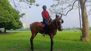 মন ভরাচ্ছে সওয়ারি, পেট ভরাচ্ছে ময়দান? 