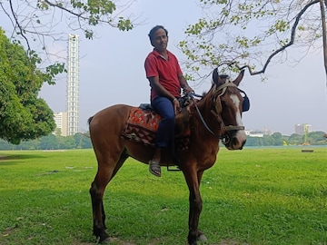 Kolkata Horse Cart: কমছে ট্যুরিস্ট, পকেটে পড়ছে টান, কী হতে চলেছে কলকাতার ঐতিহ্য ‘ঘোড়ার গাড়ি’র ভবিষ্যৎ? জানলে চোখে জল আসবে