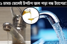 ট‍্যাপের মুখে জমে নোংরা, টপটপ করে পড়ছে জল! ১ চামচ তেলেই হবে ম‍্যাজিকের মতো পরিষ্কার