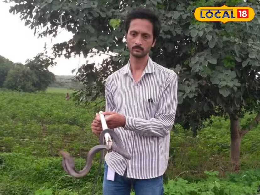 তবে শুধু সাপই নয়, নবীন অন্যান্য বন্যপ্রাণীদেরও উদ্ধার করে থাকেন। তিনি তার বন্ধুদের সঙ্গে মিলে "ইকো ওয়েলফেয়ার সোসাইটি" নামে একটি সংস্থা গড়ে তুলেছেন। এই সংস্থা বর্তমানে অনেক স্বেচ্ছাসেবীকে নিয়ে বন্যপ্রাণ রক্ষায় কাজ করছে।