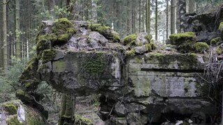 WW3-এর প্রস্তুতি! রাশিয়ার ভয়ে কাঁপছে জার্মানি, বাঙ্কার তৈরিতে খরচ করছে কোটি কোটি ইউরো