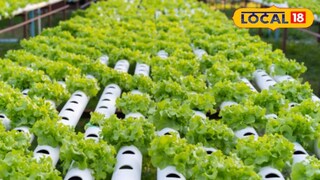 জায়গার অভাব? 