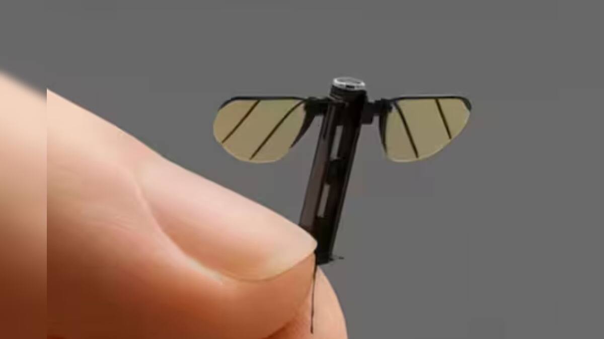 China Mosquito Drone: নিঃশব্দে উড়ে হাঁড়ির খবর বের করতে সক্ষম! বিশ্বকে চমকে দিল চিনের বিশেষ ‘মশা ড্রোন’
