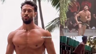 ‘জামাকাপড় নেই?’ পরনে শুধুই অন্তর্বাস, পায়ে স্পোর্টস শ্যু...ক্রিকেটে মত্ত টাইগার! ভিডিও ভাইরাল হতেই নিন্দের ঝড়