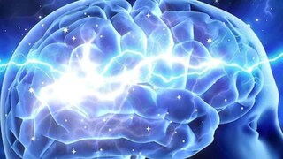 মানুষের মাথাও বায়োলজিক্যাল কম্পিউটার! OpenAI বিজ্ঞানীর কথা মানতে নারাজ অ্যাস্ট্রোবায়োলজিস্ট, কেন? মানুষের মাথাও বায়োলজিক্যাল কম্পিউটার! OpenAI বিজ্ঞানীর কথা মানতে নারাজ অ্যাস্ট্রোবায়োলজিস্ট, কেন?