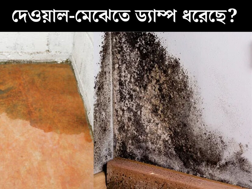 বৃষ্টির কারণে জল জমেছে মেট্রোর টানেলে। আপাতত দক্ষিণেশ্বর থেকে গিরিশ পার্ক পর্যন্ত ব‍্যাহত মেট্রো পরিষেবা। সপ্তাহের শুরুতে সোমবারেই মেট্রো পরিষেবায় গোলযোগ হওয়ায় সমস‍্যায় যাত্রীরা। সূত্রের খবর, সেন্ট্রাল পার্ক-চাঁদনির মাঝে সুড়ঙ্গতে জল দেখা গিয়েছে। ময়দান থেকে কবি সুভাষ চালানো হচ্ছে মেট্রো। 