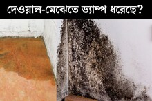 সাদা সাদা হয়ে গিয়েছে দেওয়াল-মেঝে? বর্ষায় ড‍্যাম্প ধরে ভেজা ভাব? ৬ উপায় জেনে নিন, বৃষ্