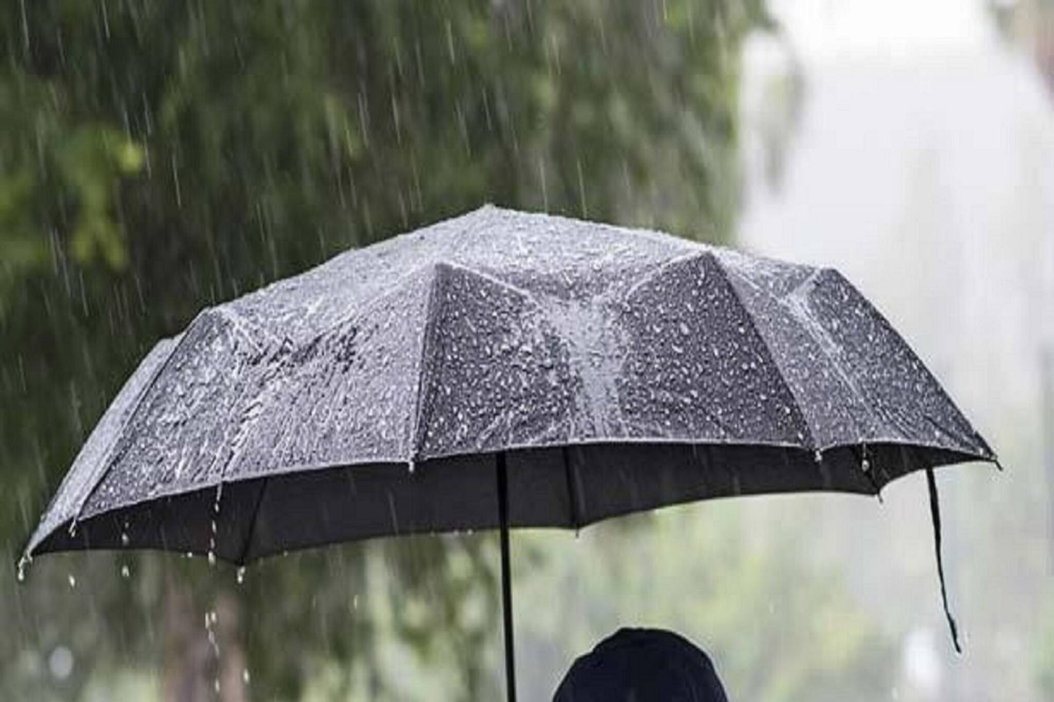 ভ্যাপসা গরম থেকে মুক্তি? বাংলাজুড়ে বর্ষার বৃষ্টি মেগা আপডেট! ভারী বৃষ্টি কোন কোন জেলায়?