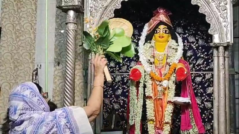 সেবাইত রূপ গোস্বামীর কথায়, বছরে একমাত্র এই দিনেই ভক্তরা মহাপ্রভুকে আশীর্বাদ করতে পারেন জামাই হিসেবে। কলকাতা থেকে আগত শ্রীমতি দাস বলেন,'এই বিশেষ পুজোর কথা শুনেই এসেছি এখানে পুজো দিতে।' মন্দিরের সেবাকার্যে নিযুক্ত কাকলি সাহা বলেন, প্রতিবছরই এই দিনে জামাই রূপে পুজিত হন আরাধ্য দেবতা ধামেশ্বর মহাপ্রভু।