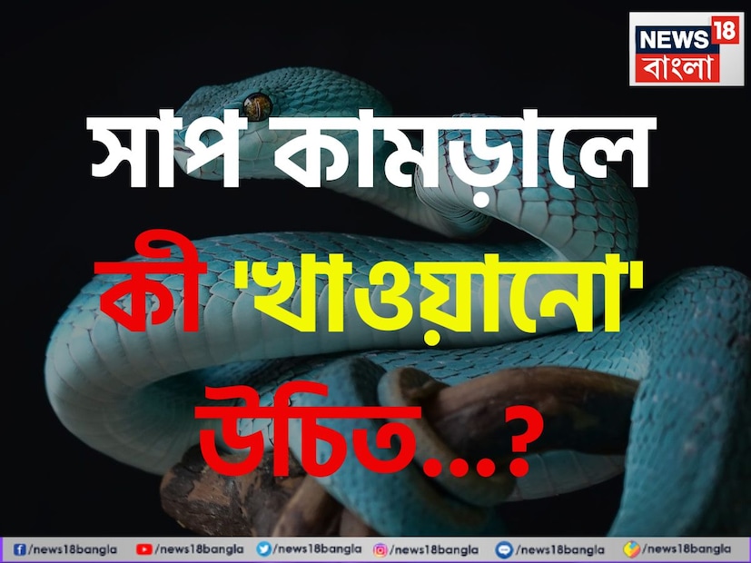 প্রতিযোগিতামূলক পরীক্ষা থেকে চাকরির ইন্টারভিউ, সাধারণ জ্ঞান বা জিকে একটি গুরুত্বপূর্ণ বিষয় হয়ে দাঁড়ায়। তবে শুধু পরীক্ষাতেই নয়, জীবনের সাধারণ ব্যবহারিক জ্ঞান বৃদ্ধিতেও জরুরি এই ধরণের নানা তথ্য যা আমাদের শরীর ও স্বাস্থ্যের পাশাপাশি সামাজিক ও জীবনশৈলীগত ভাবে জরুরি।