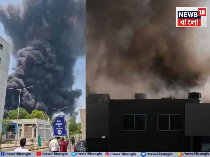 এয়ার ইন্ডিয়া জানিয়েছে, বিমানে সওয়ার ২৪২ জনের মধ্যে ২৩০ জন যাত্রী ছিলেন। বাকি ১২ জন কর্মী। যাত্রীদের মধ্যে ১৬৯ জন ভারতীয়। তা ছাড়া ৫৩ জন ব্রিটিশ, সাত জন পর্তুগিজ নাগরিক এয়ার ইন্ডিয়ার বিমানটিতে ছিলেন। কানাডার এক নাগরিকও ছিলেন। 