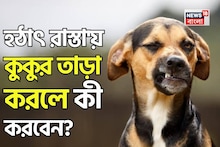 হঠাৎ কুকুর তাড়া করলে কী করা উচিত জানেন...? ছোট্ট 'টেকনিক', বিশেষজ্ঞ বলে দিলেন সহজ 'টোটকা'