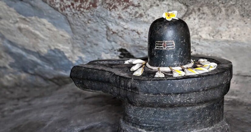 আষাঢ় মাসের প্রথম সোমবার শিবলিঙ্গে নিবেদন করুন বেদানার রস৷ মনে করা হয় এর ফলে সংসারে রোগ বা অসুখ প্রবেশ করে না৷ 