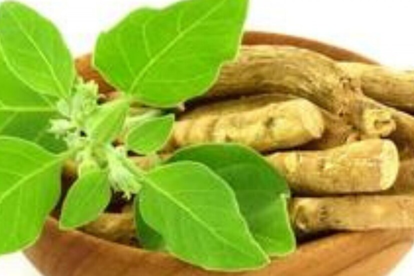অশ্বগন্ধা ব্যবহারের অনেক উপায় আছে। আপনি অশ্বগন্ধার রস পান করতে পারেন, অথবা অশ্বগন্ধা ট্যাবলেট খেতে পারেন। অশ্বগন্ধার গুঁড়োও পাওয়া যায়। যা আপনি দুধ বা জলের সঙ্গে খেতে পারেন। অশ্বগন্ধা ব্যবহারের আগে, নিশ্চিত করুন যে আপনি এটি সঠিক পরিমাণে ব্যবহার করছেন।