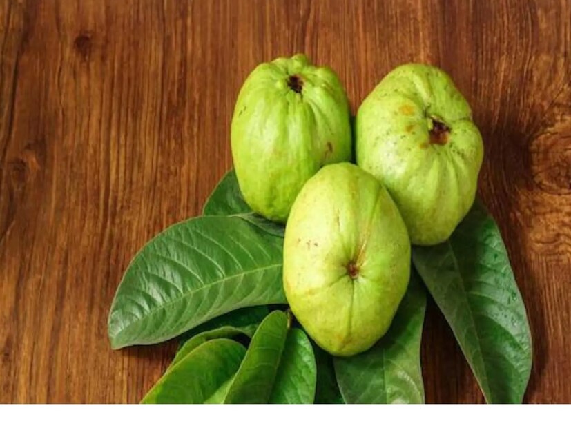 এগজিমাকে অ্যাটোপিক ডার্মাটাইটিস-ও বলা হয়৷ ত্বকে চুলকানি, লালভাব, শুকনোভাব ও অন্য সমস্যা দেখা দিতে পারে এই রোগে৷ এগজিমা হয়ে থাকলে পেয়ারা বা এর পাতা খাওয়া চলবে না৷ তাহলে সমস্যা বাড়তে পারে৷