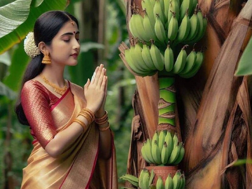 রথযাত্রার দিন বাড়িতে কলা গাছ লাগালে তা অত্যন্ত শুভ হয়। বিশেষ করে বাড়ির উত্তর-পূর্ব কোণে এই গাছ লাগালে বাস্তু দোষ দূর হয় এবং এটি অত্যন্ত পবিত্র গাছ হিসেবে বিবেচিত।
