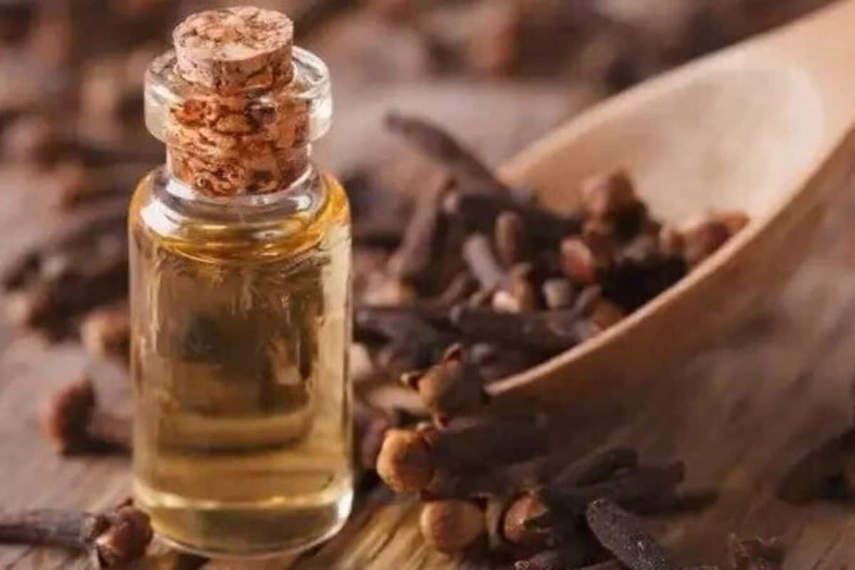 বিরিয়ানিতে লবঙ্গ কেন দেওয়া হয় অনেকেই জানে না কিন্তু! একবার জানলে পাতের পাশে বেছে রাখবেন না